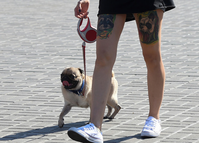 ガス代払えない女性に「犬売れば」 ウクライナ議員に批判