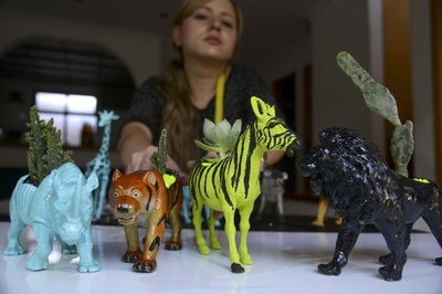 不要品から美を発見するエコデザイナー、コロンビア