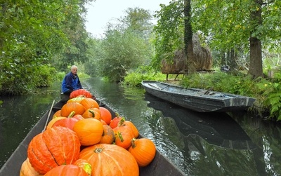 カボチャ載せて運河をゆらゆら 秋深まるドイツの森