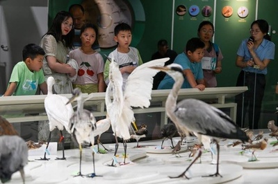 江蘇塩城:渡り鳥と共に訪れ、文化を持ち帰る場所・中国