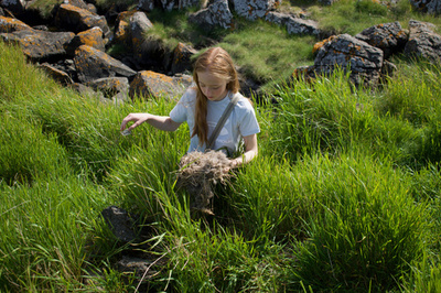 世界最高級の羽毛「アイダーダウン」を支える伝統の手作業 アイスランド