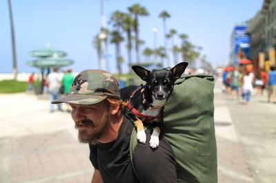 飼い主の背中で楽ちんお散歩？108周年の米ベニスで