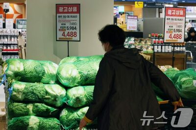 韓国・キムチ作りに暗雲…白菜・大根生産減→材料費17％高騰