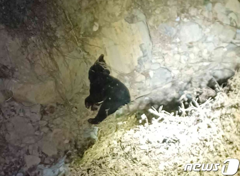 写真は記事の内容とは関係ありません(c)news1