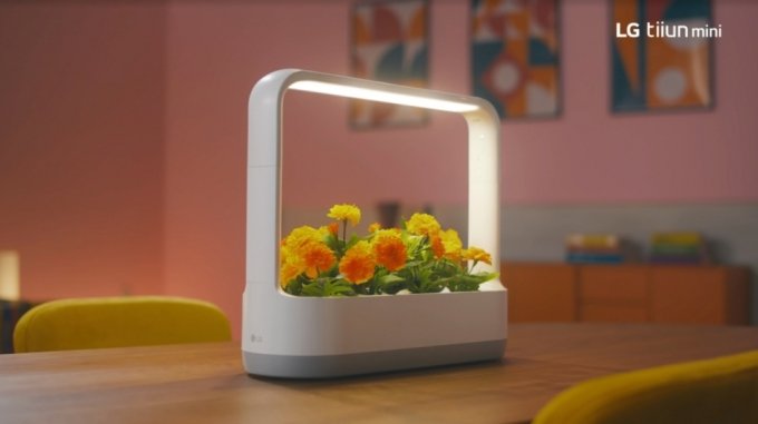 LG電子が先月発売した植物家電「ティウンミニ」（写真=LG電子）(c)MONEYTODAY