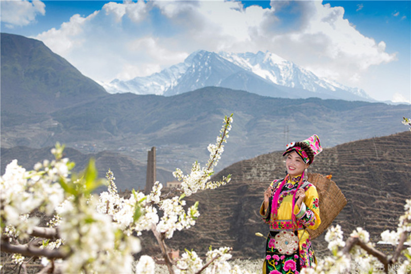 四川 茂県 スモモの花が観光客を引き寄せる 写真2枚 国際ニュース Afpbb News