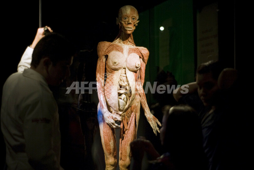 今にも動き出しそう、リアルな人体標本展「人体の世界」 写真11枚 国際ニュース:AFPBB News 今にも動き出しそう、リアルな人体標本展「人体の世界」 写真11枚 国際ニュース:AFPBB News