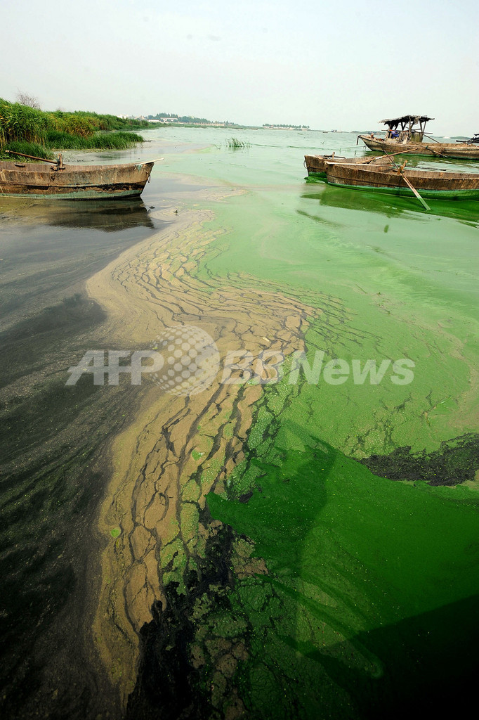 中国太湖、汚染された排水に最大15億円の罰金