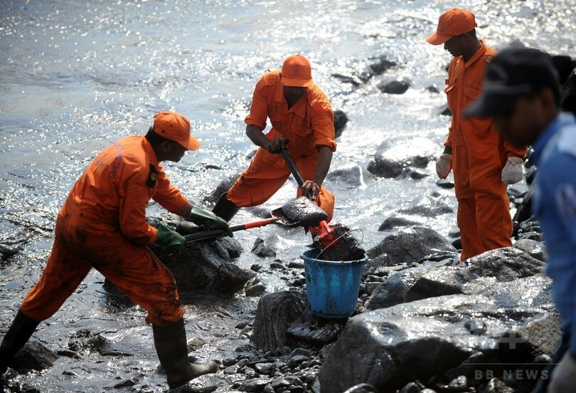 インド沿岸で石油流出、ウミガメの営巣活動への影響懸念