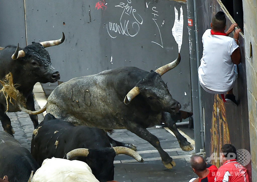 スペイン牛追い祭り、観客が角で突かれて死亡