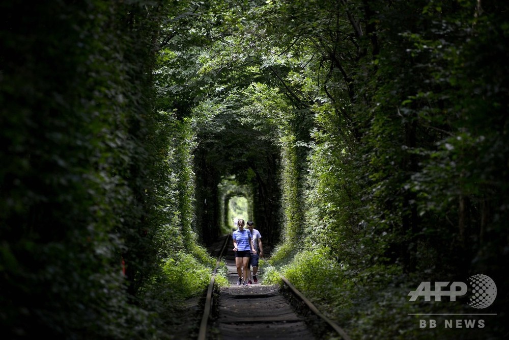 恋人たちの願いがかなう 愛のトンネル ウクライナ 写真6枚 国際ニュース Afpbb News