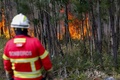 ポルトガル・オウレーンで起きた山火事（2022年6月13日撮影）。(c)PEDRO ROCHA / AFP