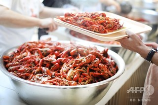 特産品のプロ育成する「ザリガニ学院」、短大卒の資格も取得 湖北・潜江 特産品のプロ育成する「ザリガニ学院」、短大卒の資格も取得 湖北・潜江