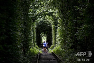 恋人たちの願いがかなう「愛のトンネル」 ウクライナ 写真6枚 恋人たちの願いがかなう「愛のトンネル」 ウクライナ 写真6枚
