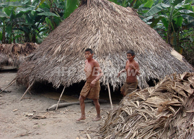 アマゾンに未知の先住民 狩猟道具など公表 ペルー南東部 写真5枚 国際ニュース afpbb news