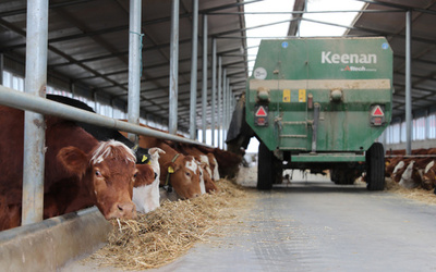 黒い大地に新型農業 中国吉林でデジタル牧牛