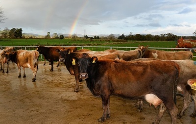 中国、外国農地を「爆買い」 豪、米、欧州でも買収の動き