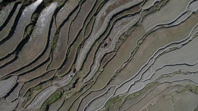 棚田にすきを入れる季節 江西・万載