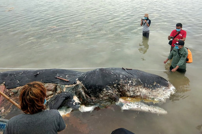 奨励賞　「私たちのゴミ袋のせい 知らなかった ではもうだめ」