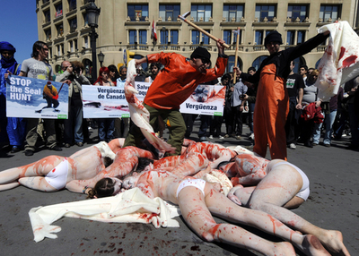 アザラシ猟反対！動物保護団体がパフォーマンス バルセロナ