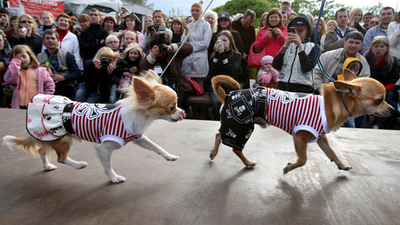 ヤマアラシと一緒にファッションショー！？動物園を救うイベント開催