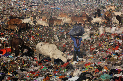 【今日の1枚】ごみの山で探し物 インドネシア