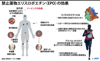 【図解】禁止薬物エリスロポエチン（EPO）のドーピング効果と副作用