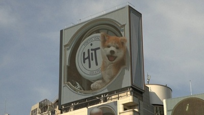 動画：渋谷に飛び出す3D犬が登場、モチーフはあのシンボル？