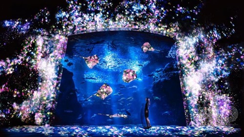 えのすい チームラボ ナイトワンダーアクアリウム15 18日から 写真4枚 ファッション ニュースならmode Press Powered By Afpbb News えのすい チームラボ ナイトワンダーアクアリウム15 18日から 写真4枚 ファッション ニュースならmode Press Powered By Afpbb News
