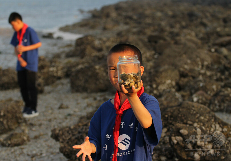山育ちの子供たち、初めて海を見る