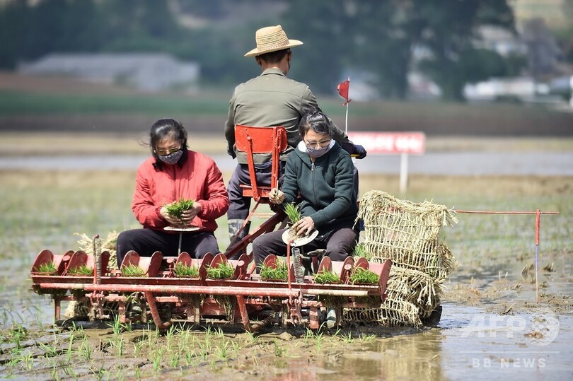 北朝鮮、コロナ対策で食料不足深刻化 一部で飢餓も 