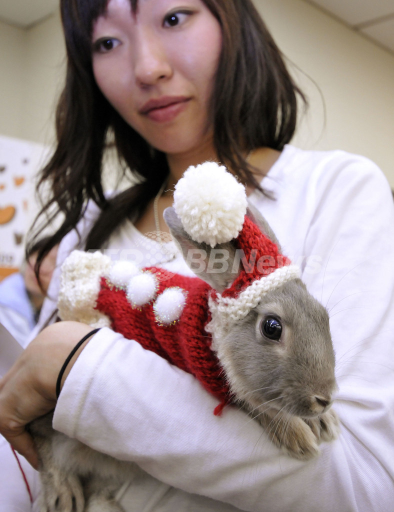 究極の癒し系？ウサギのファッションショー