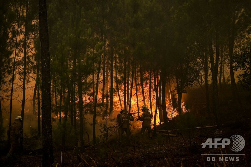 ポルトガル山火事、風にあおられ火の勢い増す