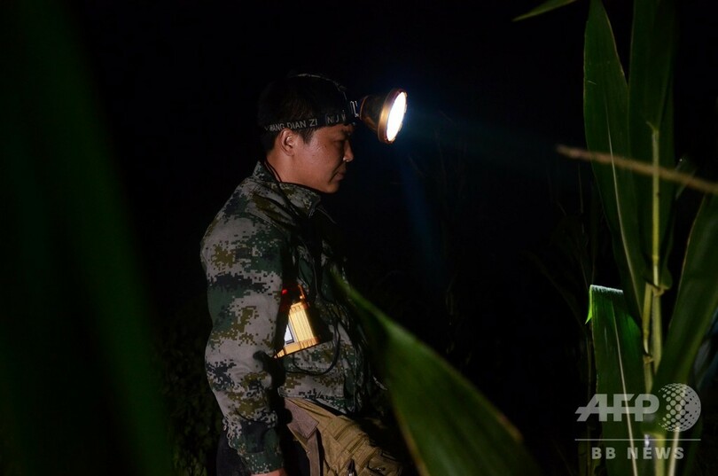 「コオロギハンター」未明の田んぼで宝探し 山東省