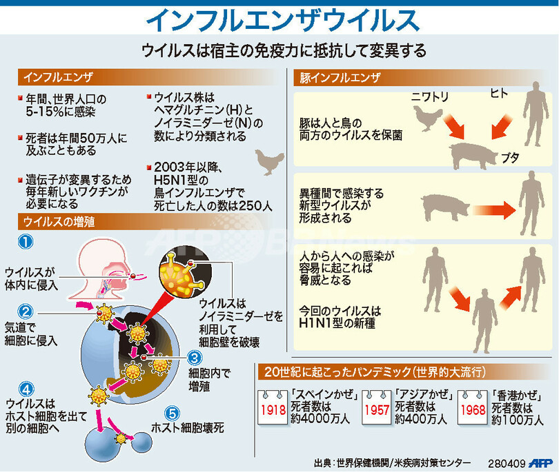 【図解】インフルエンザウイルス