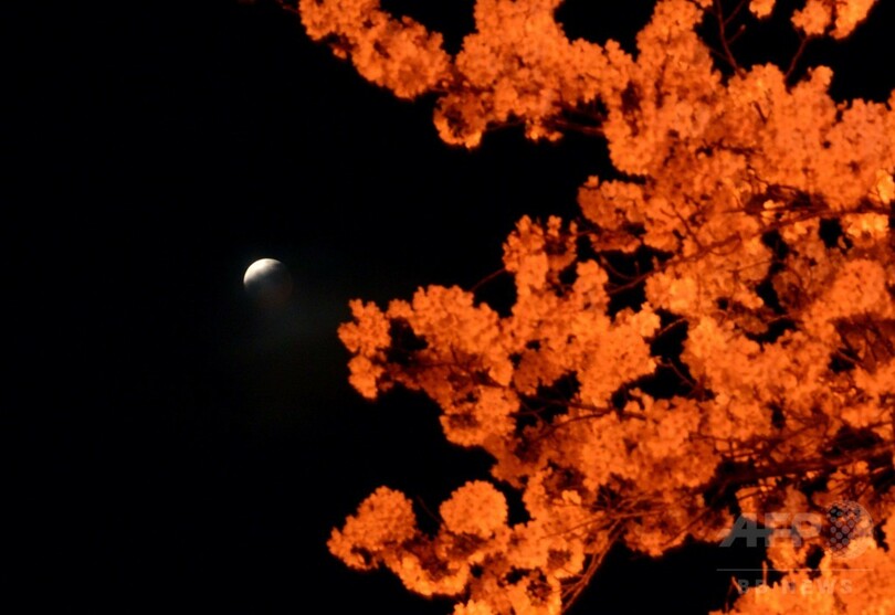 環太平洋地域の各地で皆既月食、異例の短さ