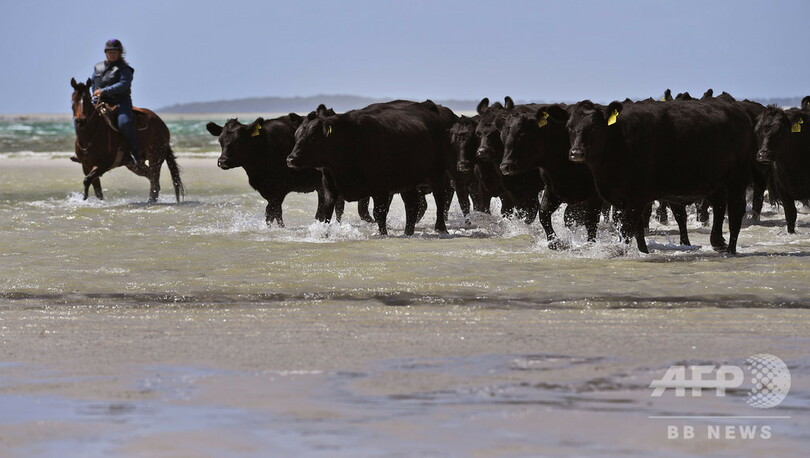 「世界一きれいな空気」を測定、豪グリム岬の観測所