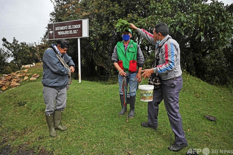 コンドルを絶滅の危機から救う、先住民と生物学者ら協力 コロンビア