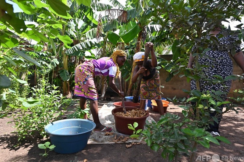 有機農業でさようなら貧困 コートジボワールの女性たち