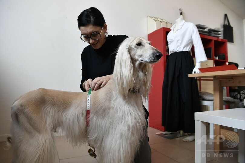 ミラノでは犬もオートクチュール！ 飼い主とおそろいも