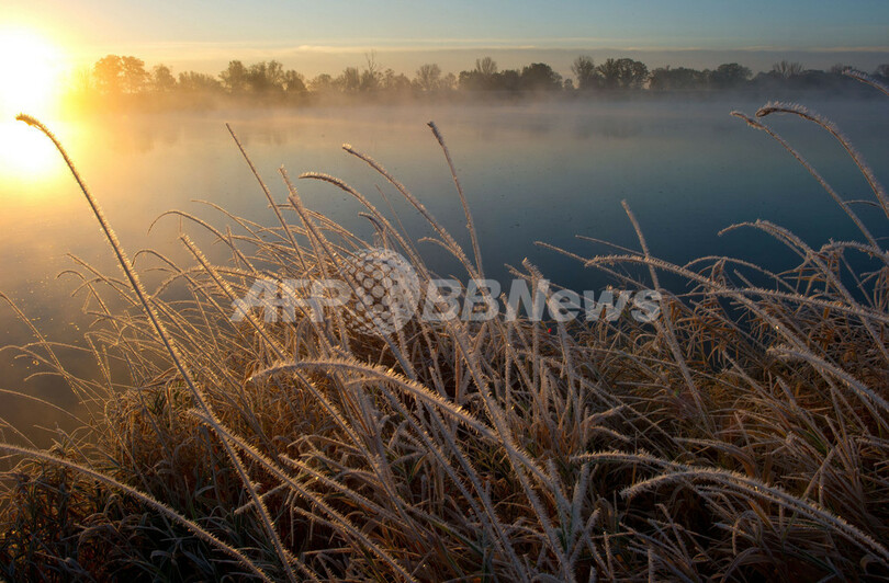 オーデル川の朝もや、ドイツ