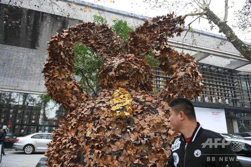 「落ち葉」集めてアート 杭州