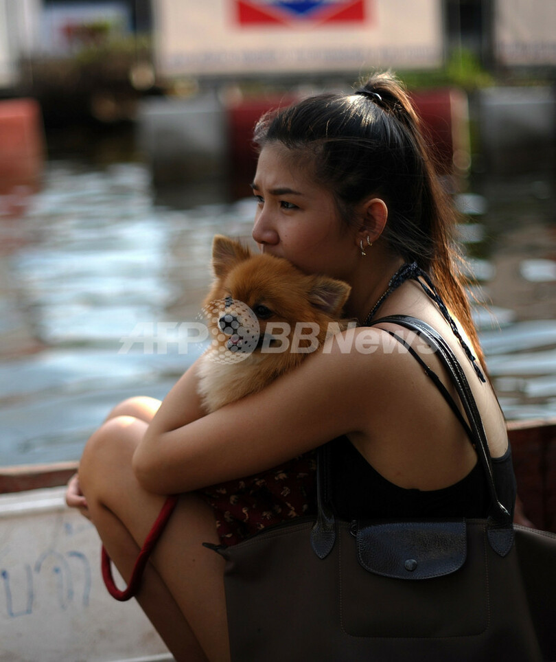 沈みゆくバンコク、洪水は不吉な未来の序章か タイ
