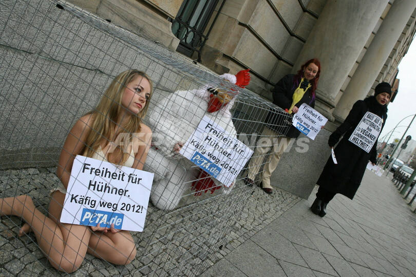 ニワトリ用のかごでPETAが抗議