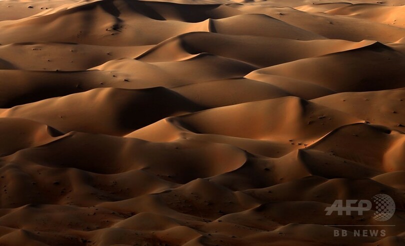 【AFP記者コラム】砂漠の魔法