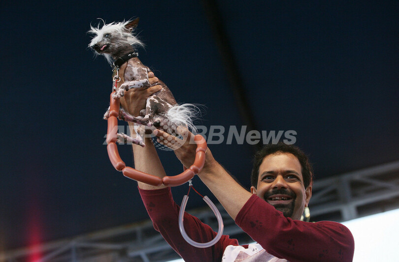 「世界で最も醜い犬コンテスト」、米カリフォルニアで開催