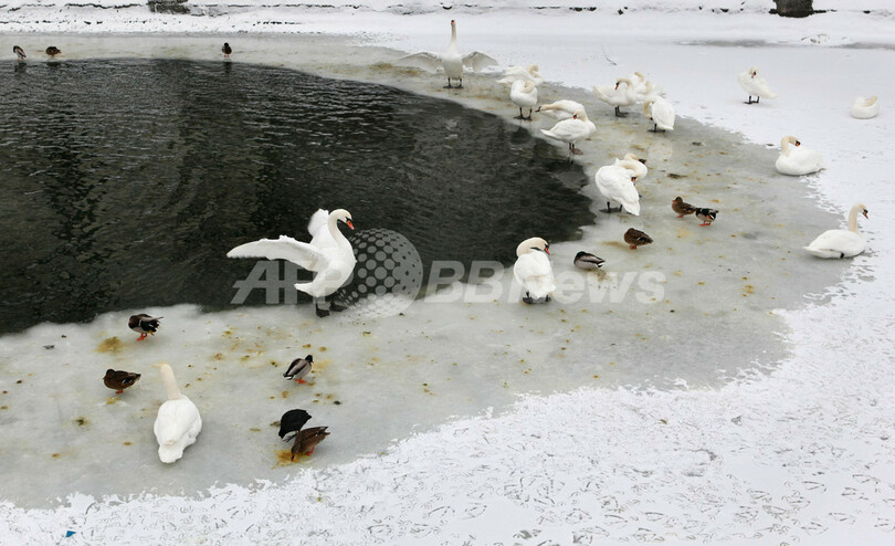 世界各地が真っ白、雪景色いろいろ
