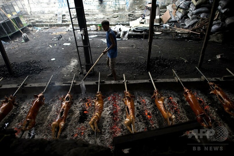 豚の丸焼き「レチョン」作りたけなわ、フィリピン