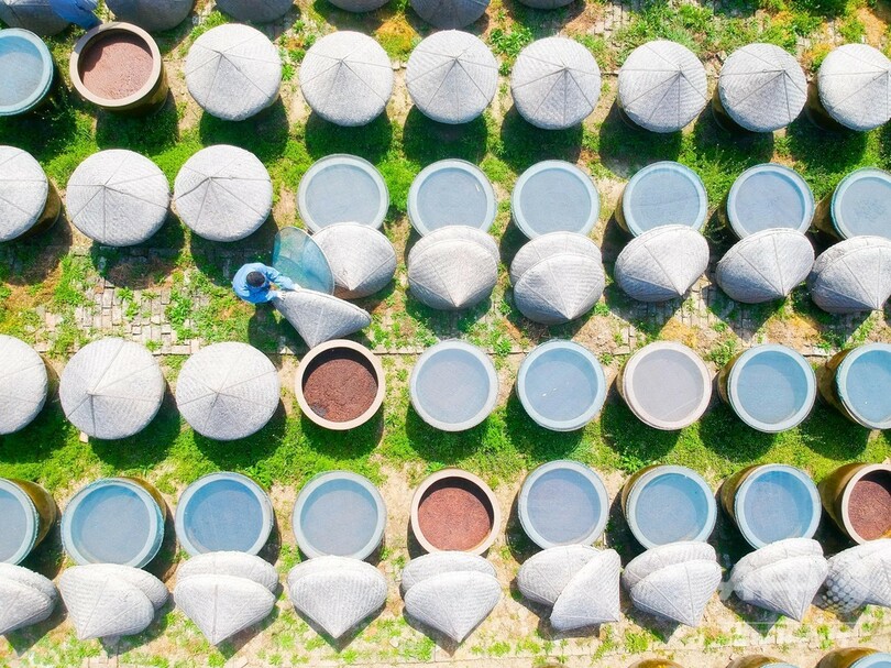 伝統そのまま…無形文化遺産の「老醤油」 春の天日干し 中国・江蘇