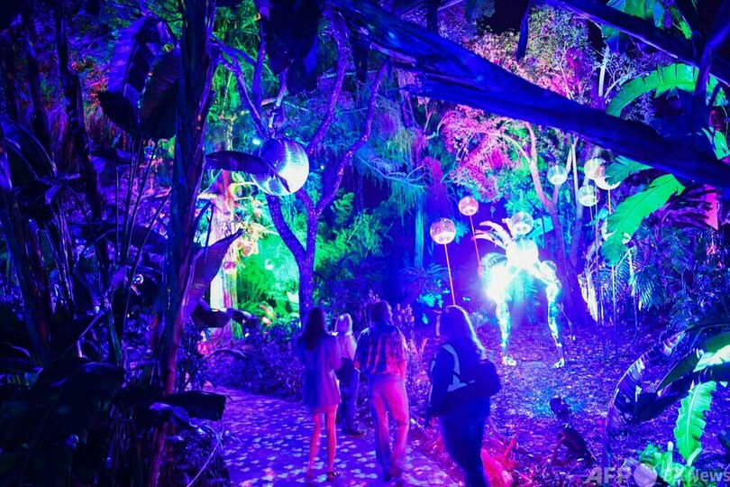 植物園で光のアート 米カリフォルニア